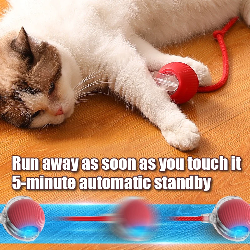 Smart Automatic Rolling Cat Ball — Rechargeable Toy with Fake Tail - Image 3