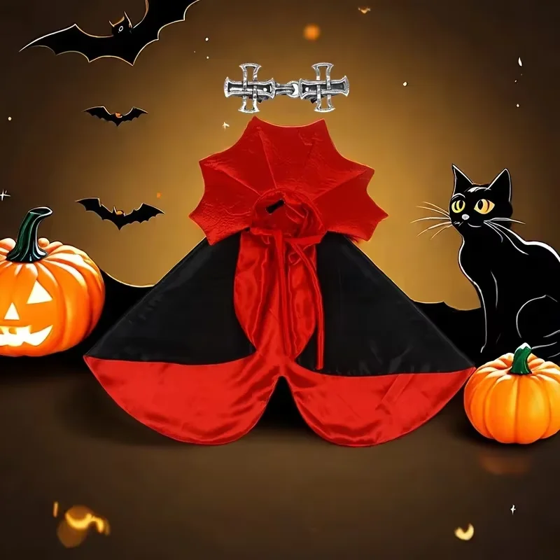 Cat Spider Costume – Funny Spider Outfit for Cats - Image 5