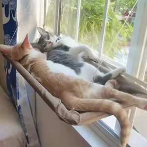 Cat Window Hammock — Suction Cup Perch Bed
