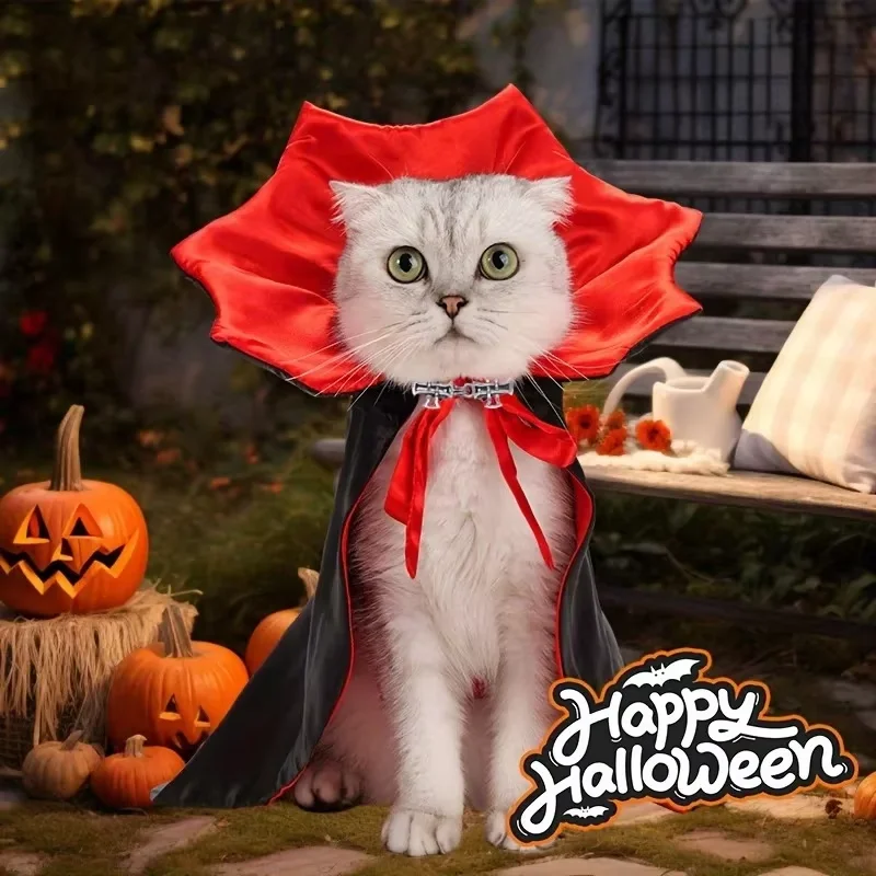 Cat Spider Costume – Funny Spider Outfit for Cats