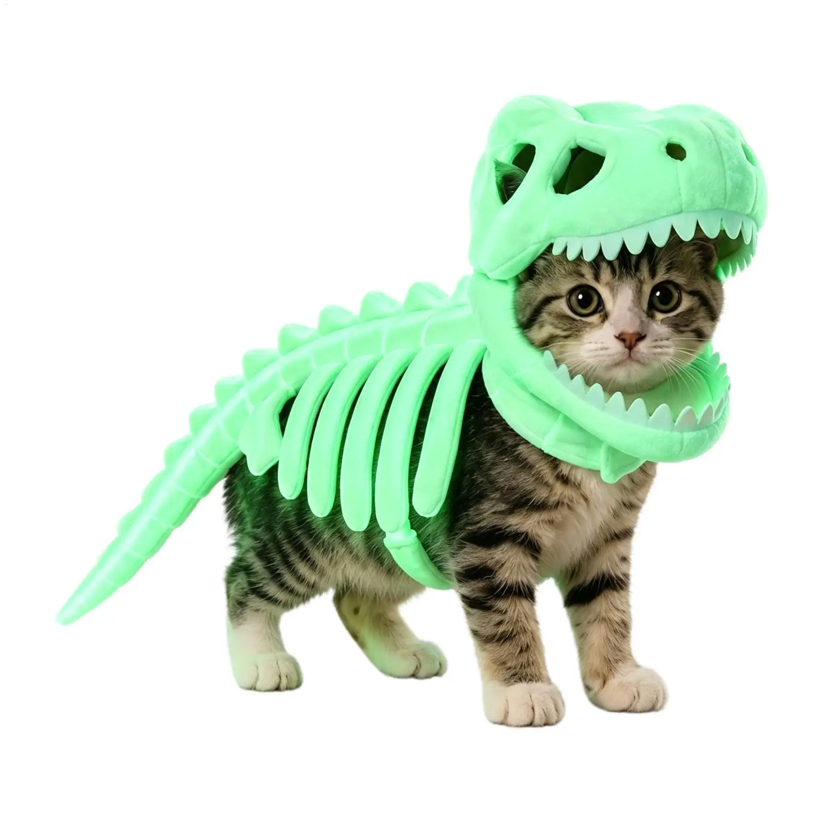 Cat Pumpkin Costume – Cute Pumpkin Dress for Cats