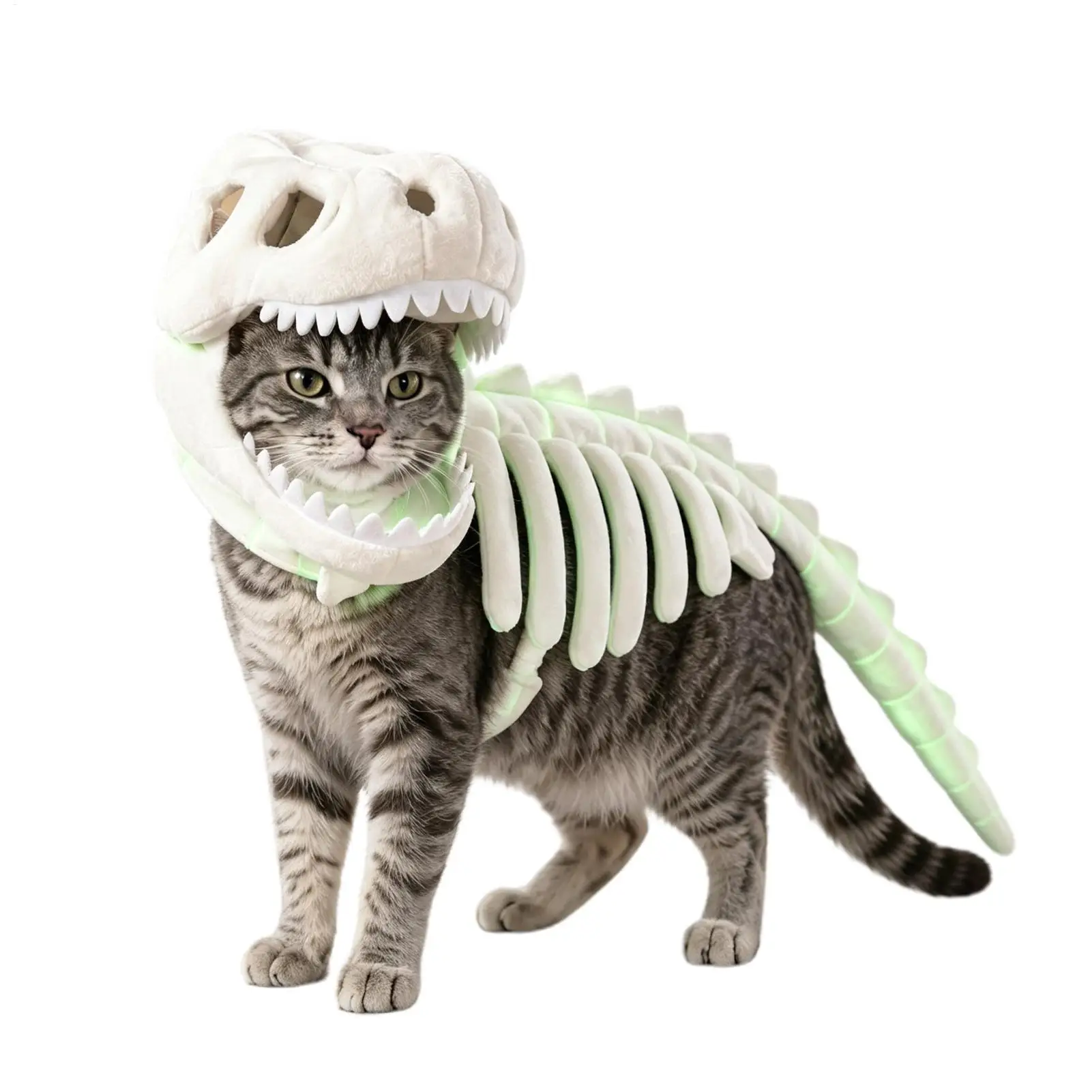 Cat Pumpkin Costume – Cute Pumpkin Dress for Cats - Image 4