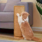 Sisal Cat Scratching Post — Sofa-Safe Design
