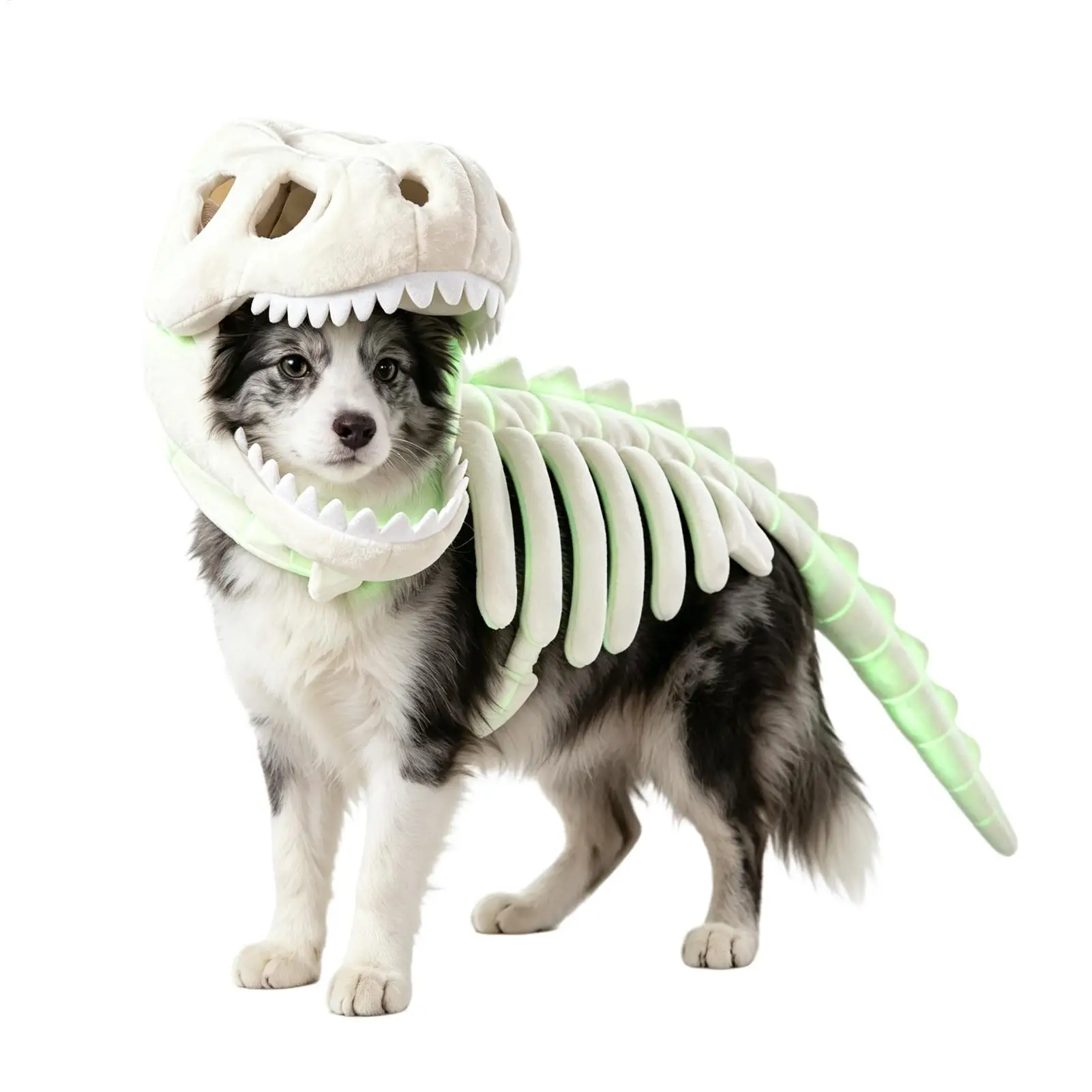 Cat Pumpkin Costume – Cute Pumpkin Dress for Cats - Image 8