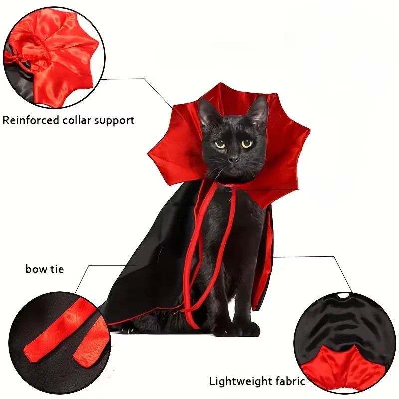 Cat Spider Costume – Funny Spider Outfit for Cats - Image 4