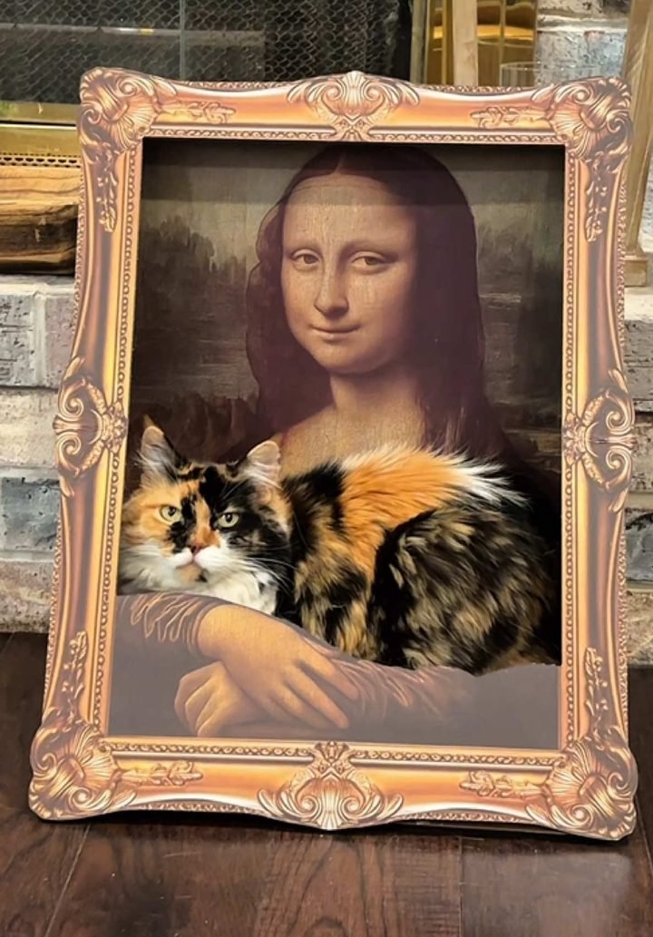 Cat bed and scratcher on TikTok