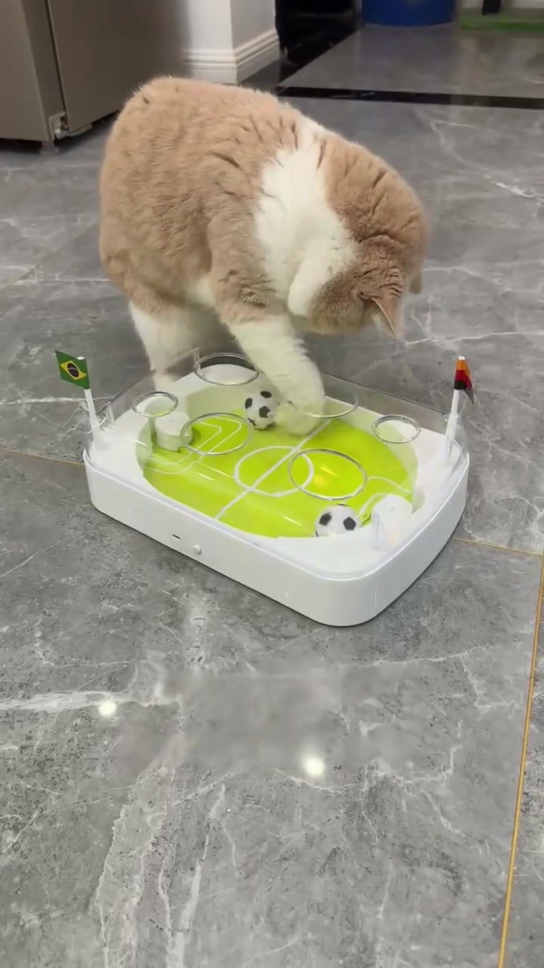Smart USB cat toy on TikTok